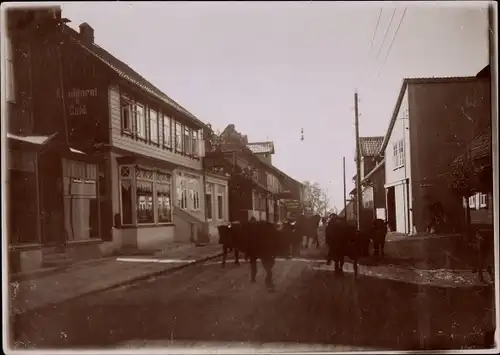 Foto Sankt Andreasberg Braunlage im Oberharz, Straßenpartie, Rinderherde, um 1920