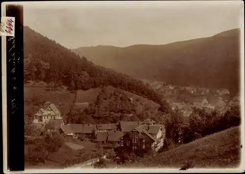 Foto Bad Lauterberg im Harz, Teilansicht, um 1920