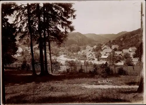 Foto Bad Lauterberg im Harz, Teilansicht, um 1920