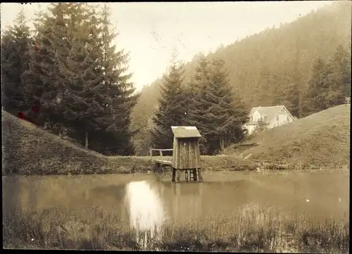 Foto Lautenthal Langelsheim im Oberharz, Hotel Waldkater, um 1920