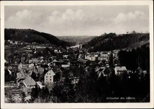 Ak Kriebethal Kriebstein Sachsen, Panorama