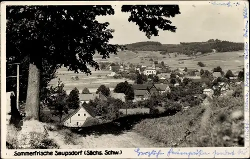 Ak Saupsdorf Sebnitz Sachsen, Teilansicht