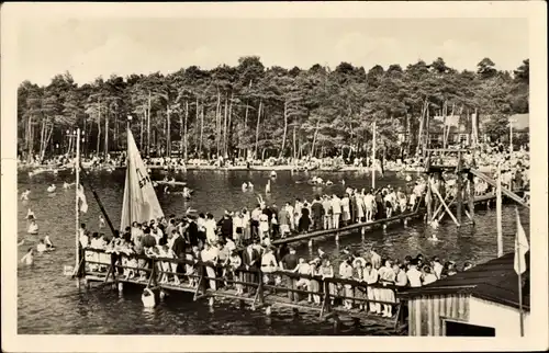 Ak Arendsee in der Altmark, Badesteg