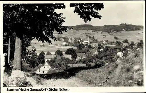 Ak Saupsdorf Sebnitz Sachsen, Teilansicht