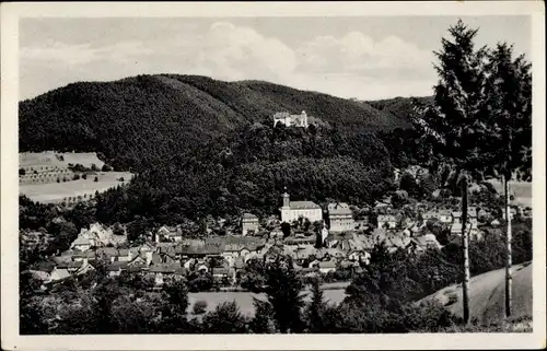 Ak Leutenberg in Thüringen, Gesamtansicht