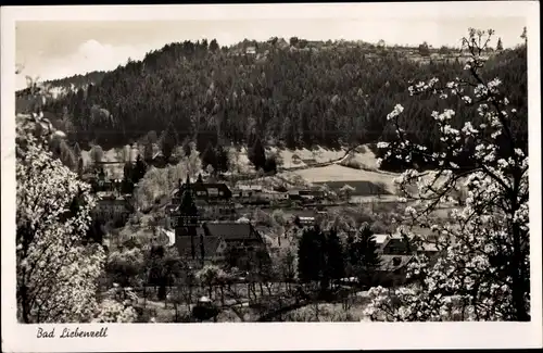 Ak Bad Liebenzell im Schwarzwald, Teilansicht