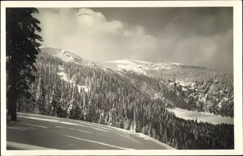 Ak Feldberg im Schwarzwald, Seebuck, Feldsee, Sprungschanze