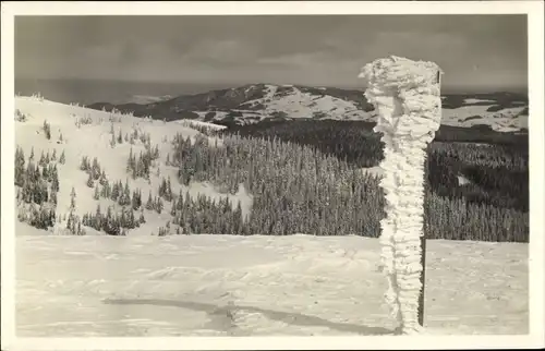 Ak Feldberg im Schwarzwald, Wegweiser mit Eisfahne, Kandel