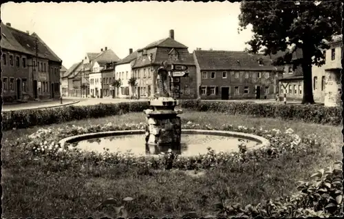 Ak Bad Lausick in Sachsen, Fischbrunnen am Untermarkt