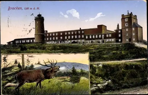 Ak Brocken Nationalpark Harz, am Gipfel, Aussichtsturm, Brocken Hotel, Hirsch