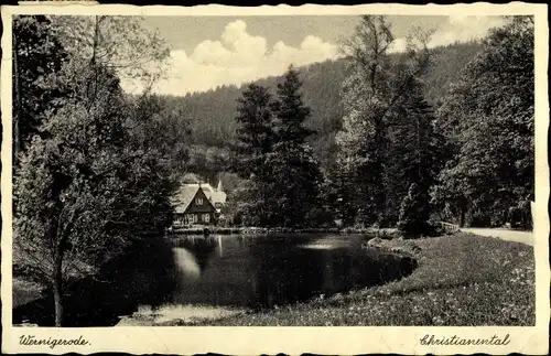 Ak Christianental Wernigerode im Harz, Ortspartie