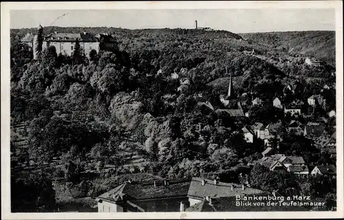 Ak Blankenburg am Harz, Blick von der Teufelsmauer