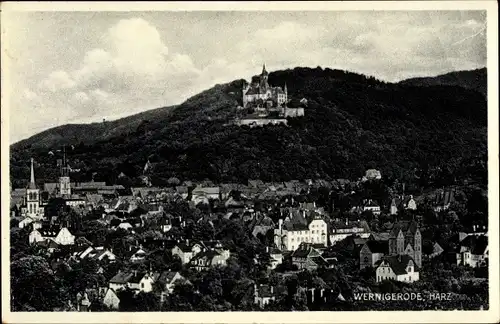 Ak Wernigerode am Harz, Panorama, Schloss