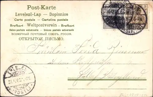 Präge Litho Glückwunsch Neujahr 1904, Glücksklee, Getreide