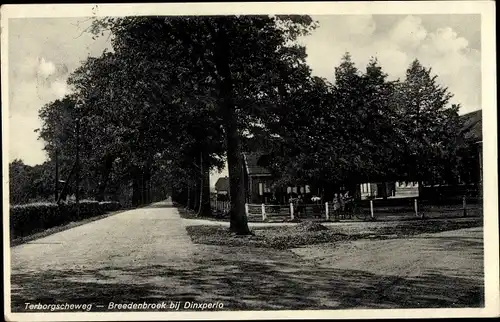 Ak Breedenbroek Gelderland, Terborgscheweg