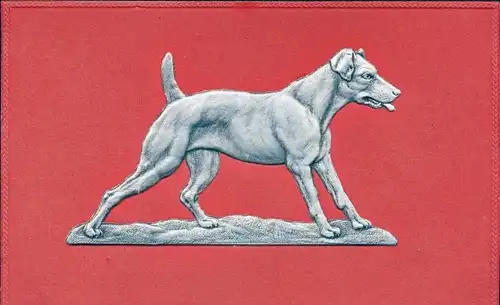 Präge Ak Hundeportrait, stehender Hund