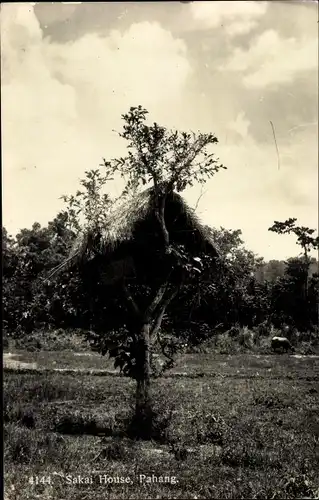 Ak Pahang Malaysia, Sakai House, Traditionelle Baumhütte