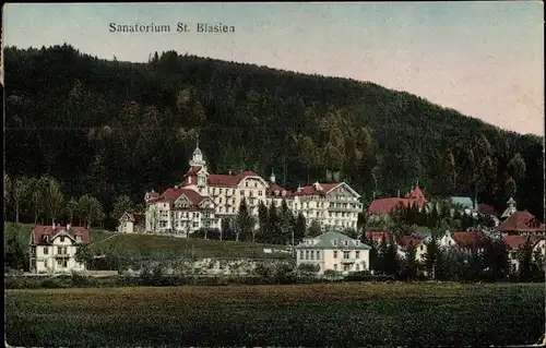 Ak St. Blasien Schwarzwald, Sanatorium, Kaffee und Konditorei Ell, Inh. Friedrich Ell