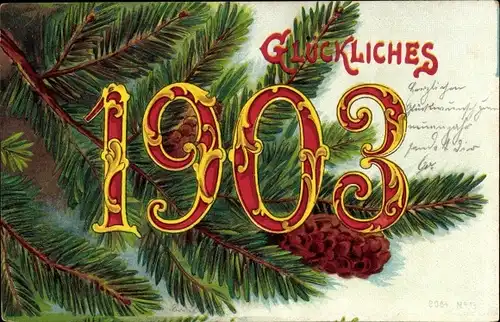 Litho Glückwunsch Neujahr 1903, Tannenzweige, Zapfen