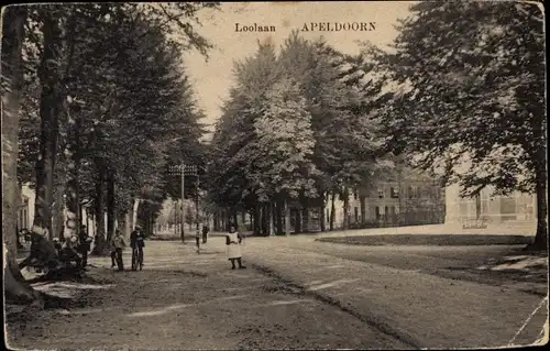 Ak Apeldoorn Gelderland, Loolaan