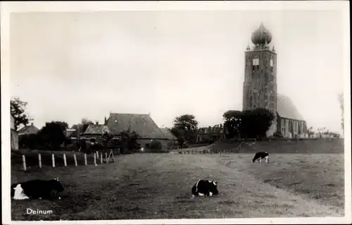 Ak Deinum Friesland Niederlande, Kirche, Kühe weiden