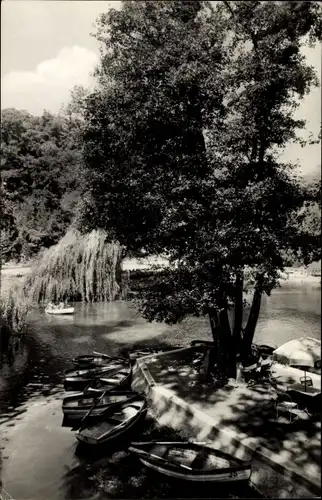 Ak Miskolctapolca Miskolc Mischkolz Ungarn, Wasserpartie, Ruderboote