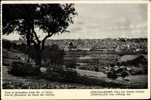 Ak Jerusalem Israel, Blick auf Jerusalem vom Oelberg aus