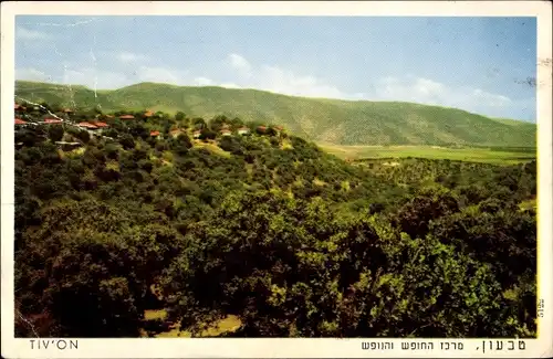 Ak Kirjat Tiw’on Tiv'on Israel, Panorama