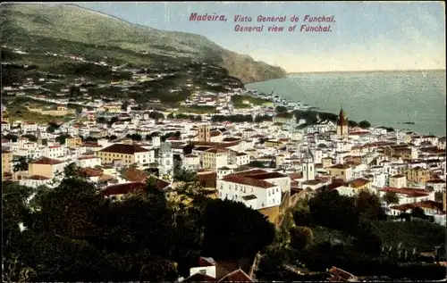 Ak Funchal Insel Madeira Portugal, Vista General