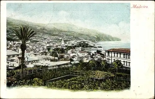 Ak Madeira Portugal, Blick auf die Stadt mit Meer und Palme