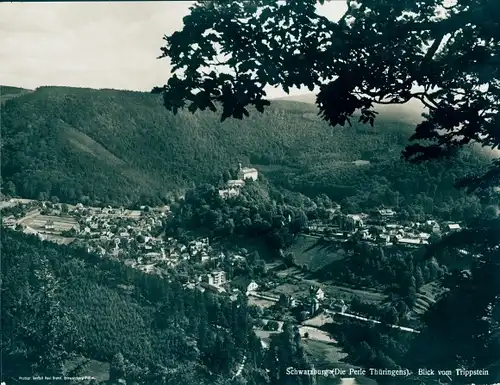 Riesen Ak Schwarzburg in Thüringen, Blick vom Trippstein