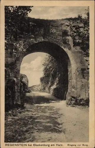 Ak Blankenburg am Harz, Burg Regenstein, Eingang