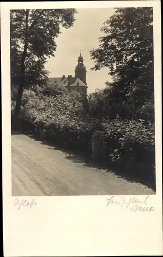 Ak Rudolstadt in Thüringen, Schloss