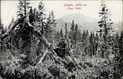 Ak Grafenau im Bayerischen Wald, Lusen, Berg