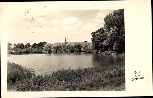 Ak Bienenbüttel in der Lüneburger Heide, Panorama, See