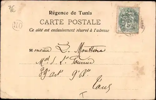 Ak Tunisie, Chanteuse arabe, Araberin mit Tamburin