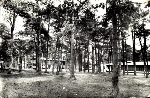 Ak Rijen Nordbrabant, Gezicht door het bos op het huis