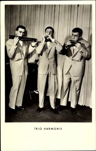 Ak Trio Harmonie, Musiker, Bass Mundharmonika
