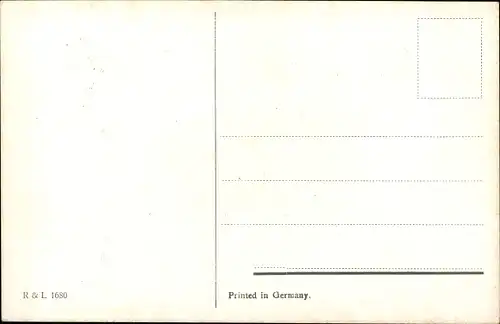 Ak Drei weiße Pferdeköpfe mit Zaumzeug, Zugpferde, Kopfstudien