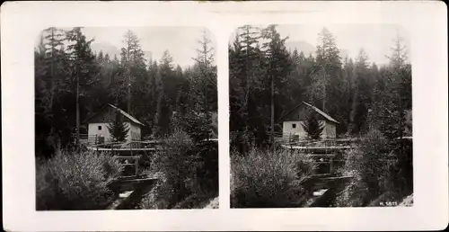 Stereo Foto Prags Braies Südtirol Südtirol, Gebirgsbach, 1811