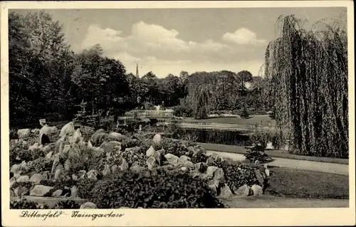 Ak Bitterfeld in Sachsen Anhalt, Steingarten