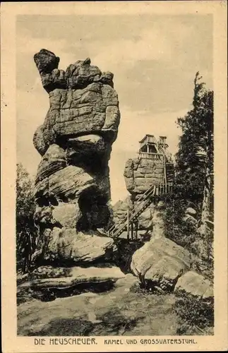 Ak Karłów Karlsberg Schlesien, Szczeliniec Wielki, Heuscheuer, Kamel, Grossvaterstuhl