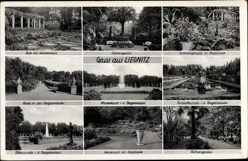 Ak Legnica Liegnitz Schlesien, Palmengarten, Sonnenuhr, Stadtpark, Seerosenteich