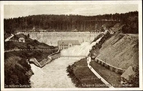 Ak Lauban Schlesien, Queitalsperre Goldentraum, Wald