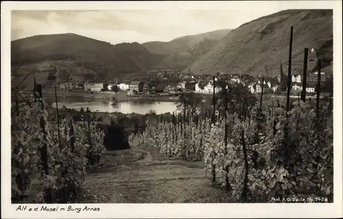 Ak Alf an der Mosel, Burg Arras, Panorama vom Ort, Weinberg