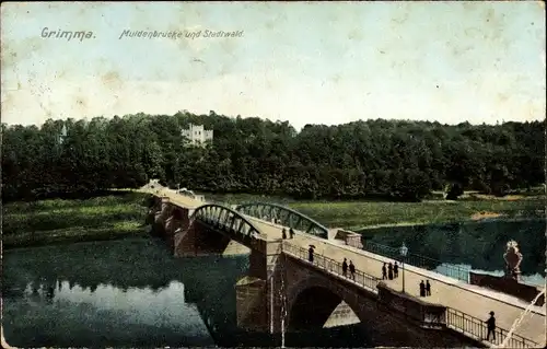 Ak Grimma in Sachsen, Muldenbrücke und Stadtwald