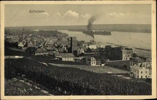 Ak Rüdesheim am Rhein, Ortsansicht mit Rhein