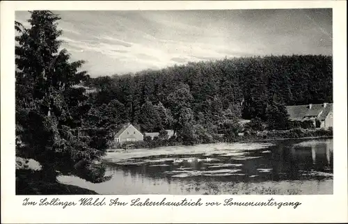 Ak Eschershausen Uslar im Sollin, gSollinger Wald, Am Lakenhausteich vor Sonnenuntergang