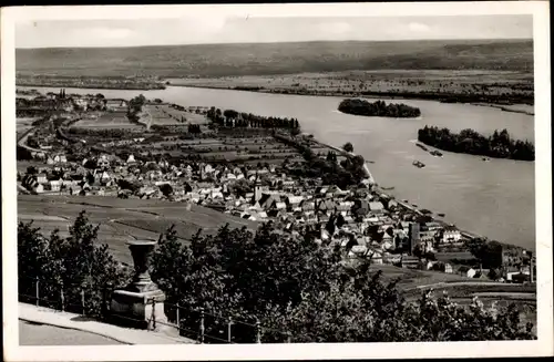 Ak Rüdesheim am Rhein, Ortsansicht mit Rhein