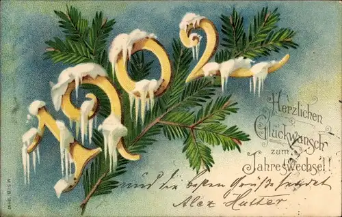 Litho Glückwunsch Neujahr 1902, Tannenzweig